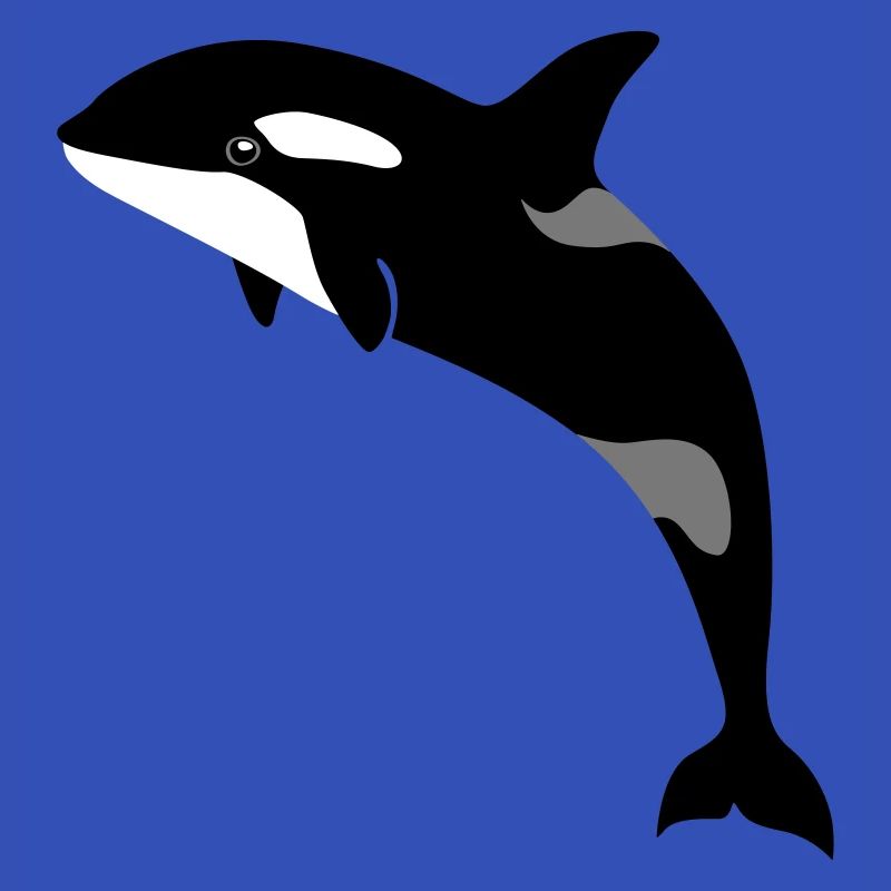jumping Orca