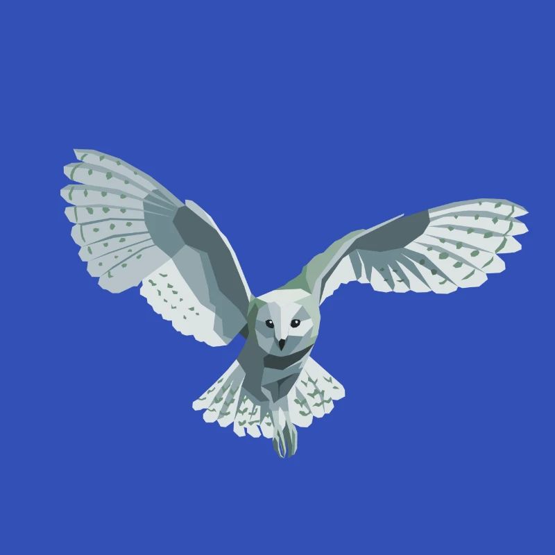 barn owl