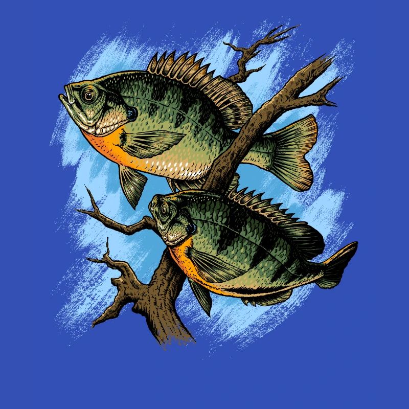 Bluegill Illustration Angeln Pullover Design