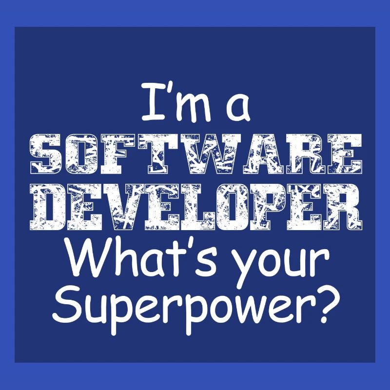 Software Entwickler