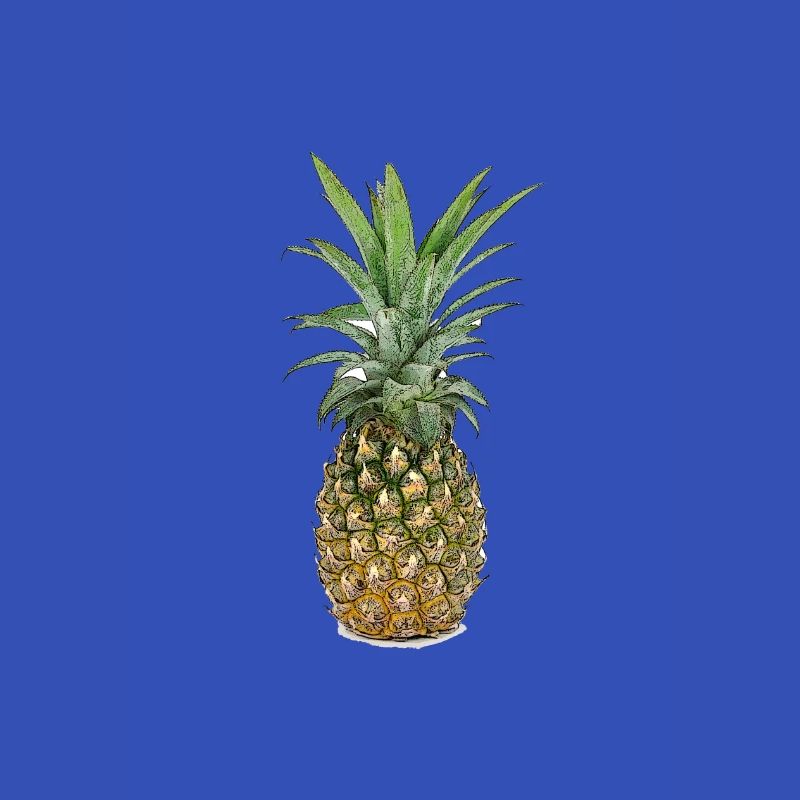 Ananas | Pineapple