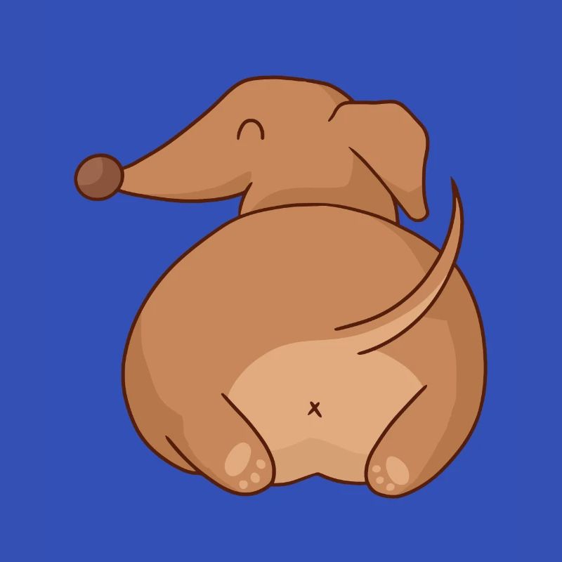 Dachshund Hintern