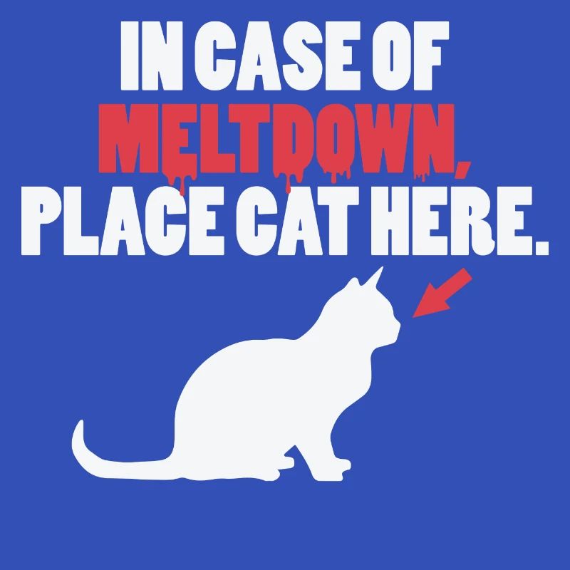 Lustige Katze