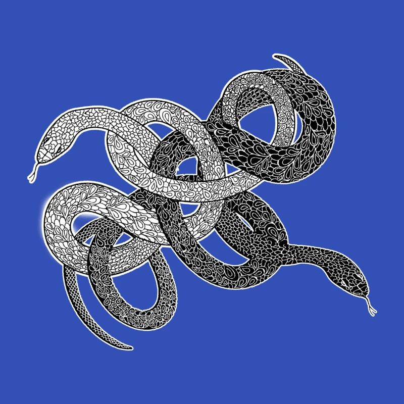 Serpents anaconda cadeau python