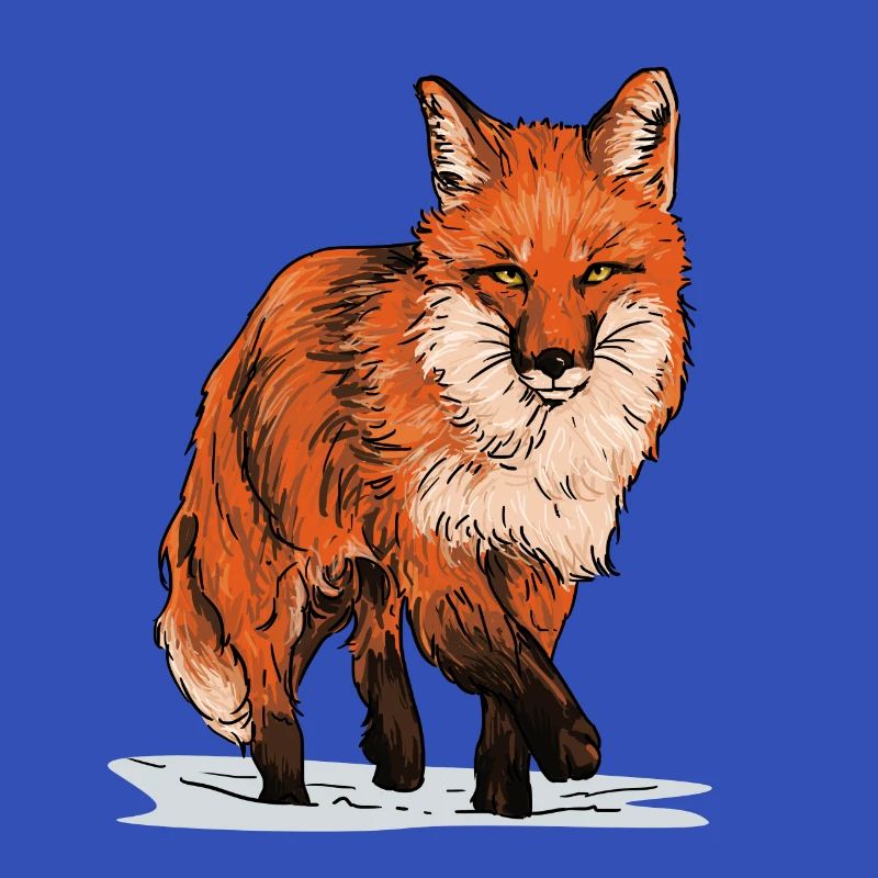 Fuchs in Wildbahn