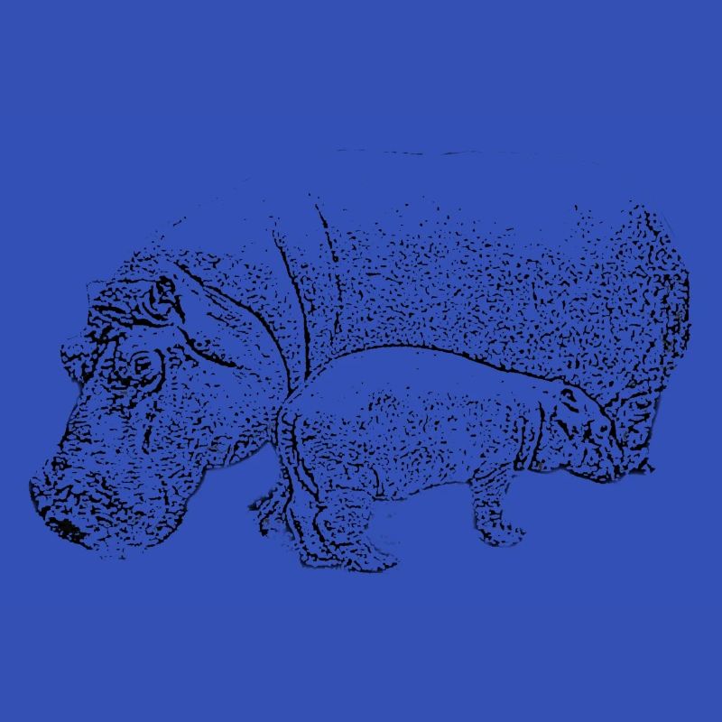 Hippo