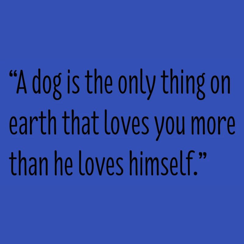 Dog Lovers