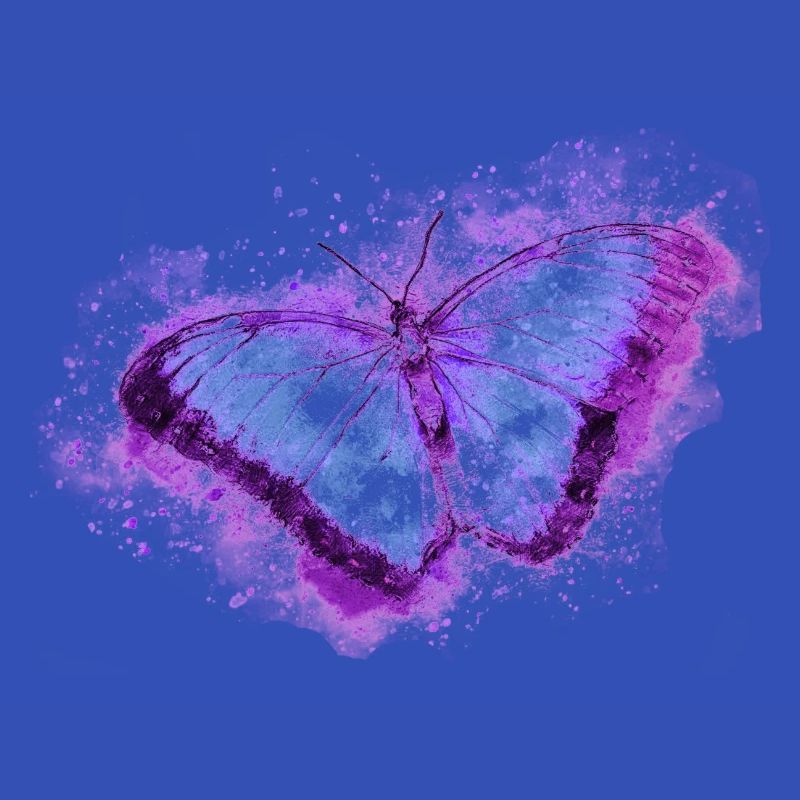 Schmetterling
