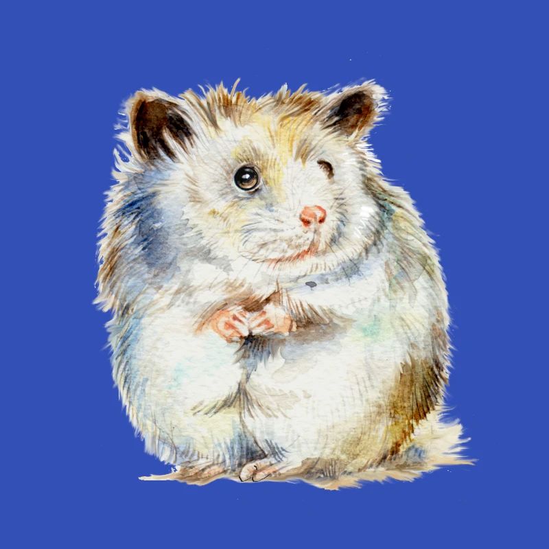 HAMSTER - der Hamster