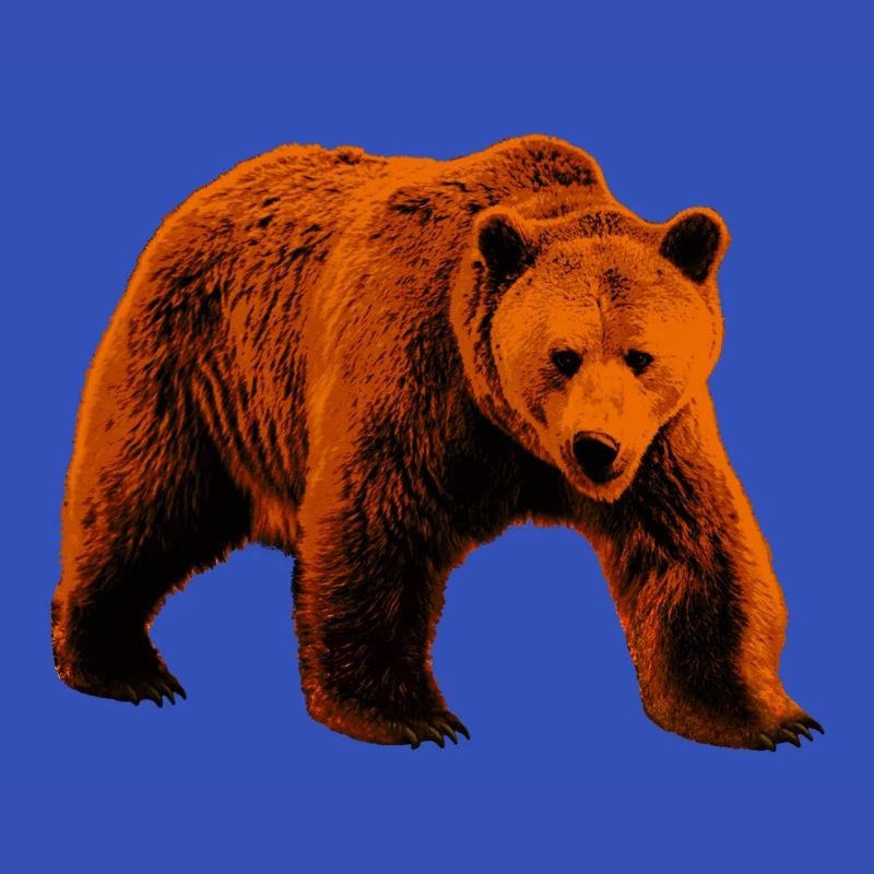 Bär, wilder Bär