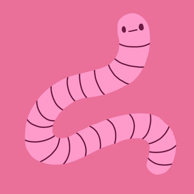 Regenwurm