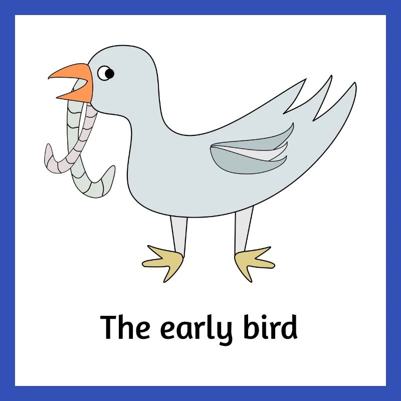 The early bird