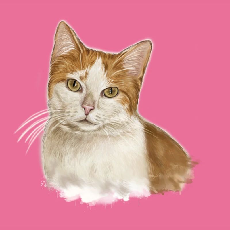 katze Marie
