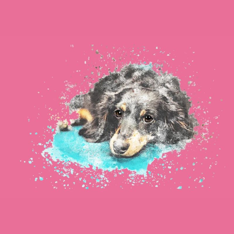 Hund liegt