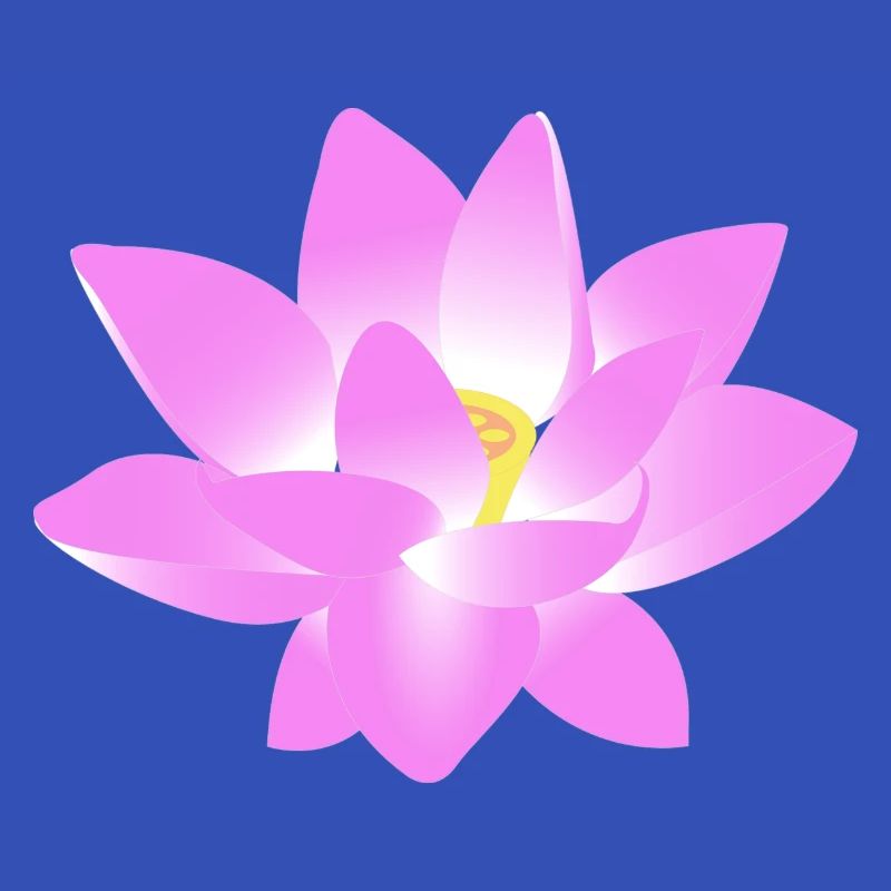 Blume Lotus