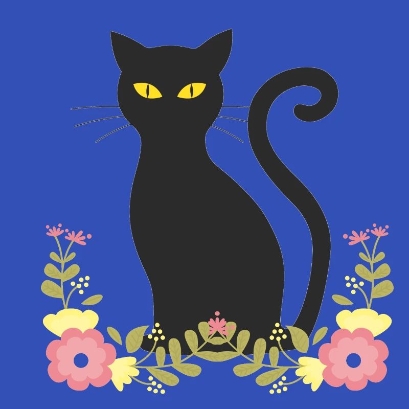 Schwarze katze