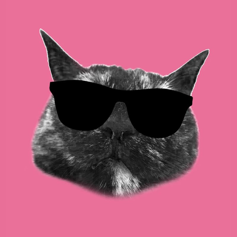 Cool Cat