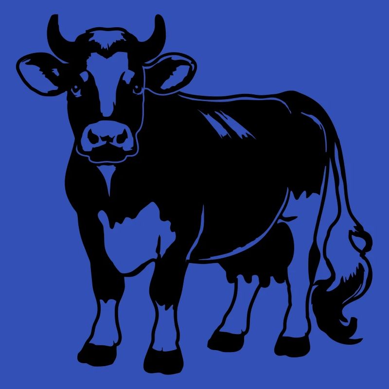 Conception de la ferme Bonte koe – pour petits et grands
