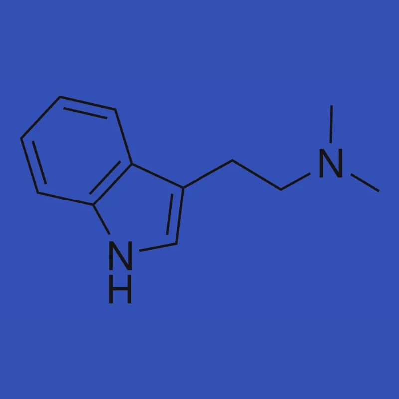 DMT Molekül - schwarz