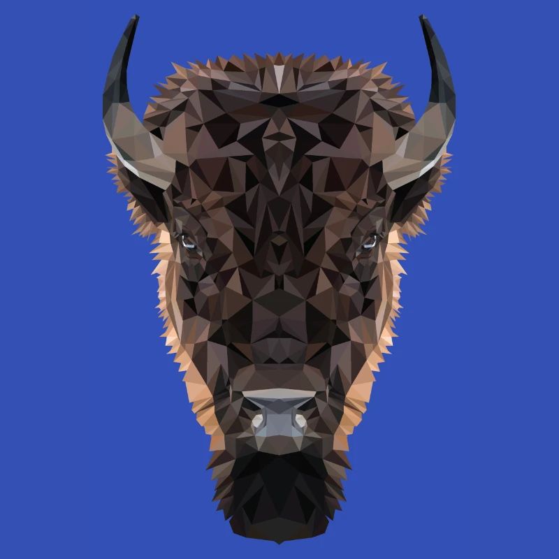 Bison