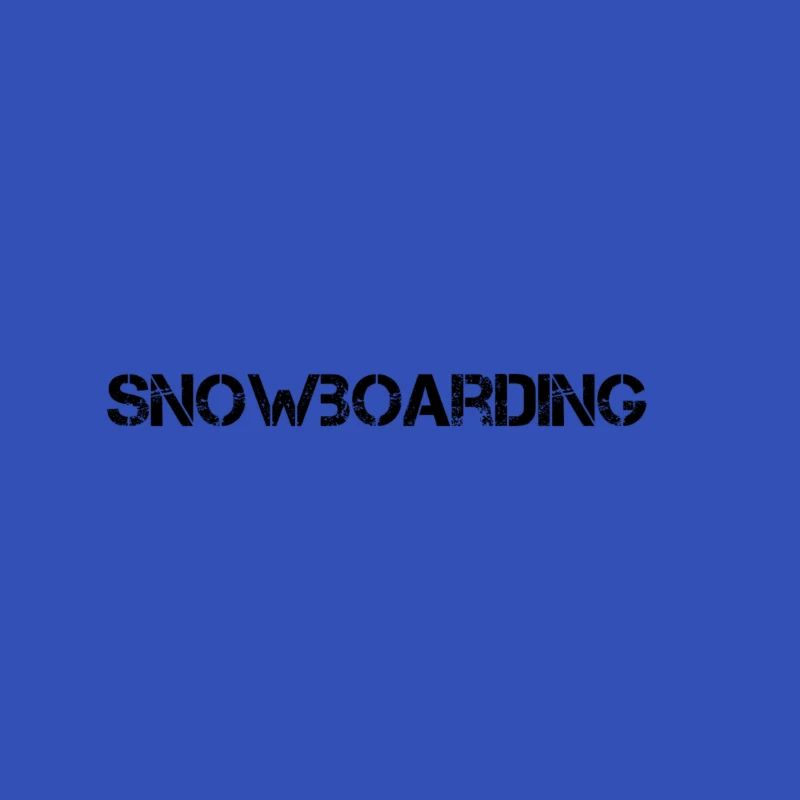 Snowboard