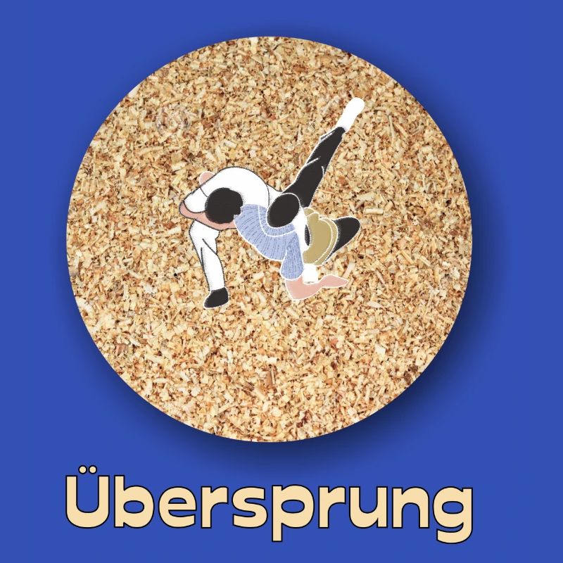 Schweizer Schwinger Design