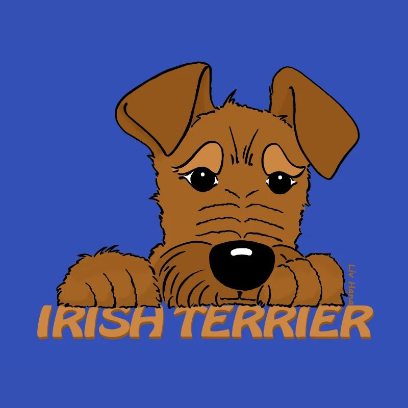 Irish Terrier Kopf
