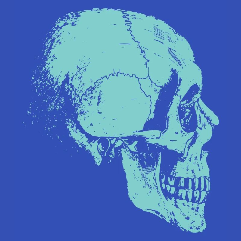 Skelett Totenkopf Bones