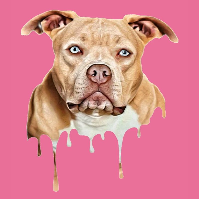 Bully Art American Bully Exotic Bully