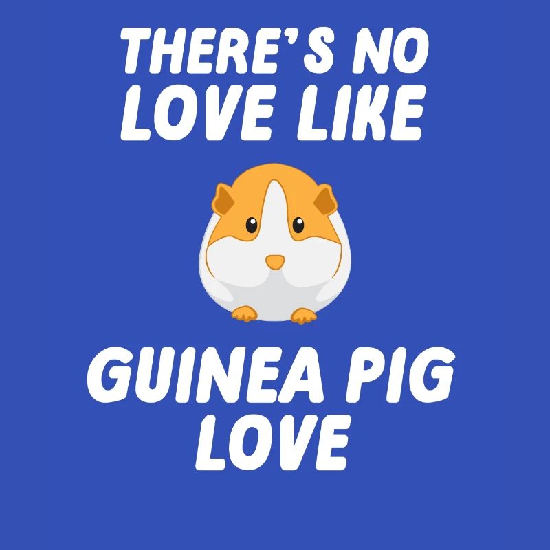 Cochon d'Inde - Cochon d'Inde - Amour