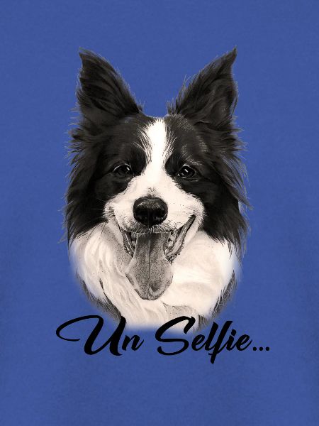 Border Collie Hund