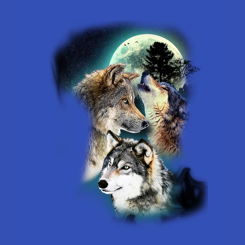 Loup design lune loups