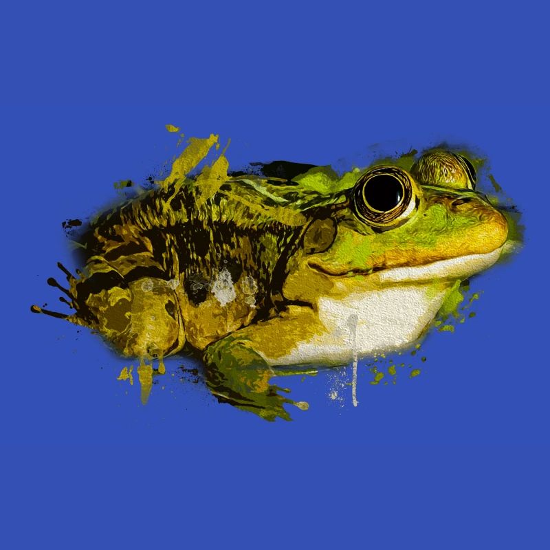 Frogs, Toad, Tree Frog, Frog