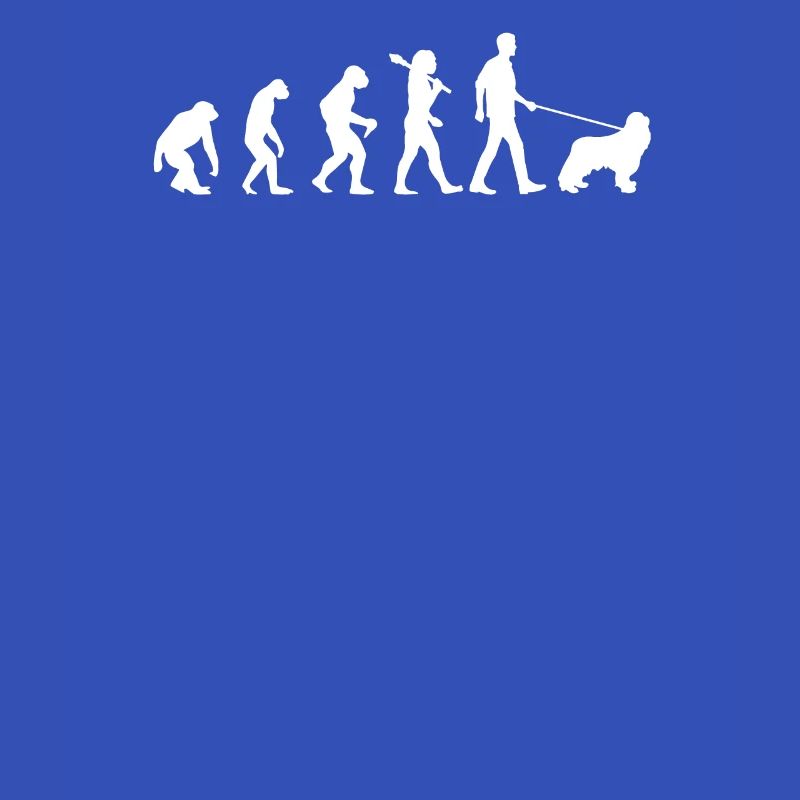 Evolution des cockers