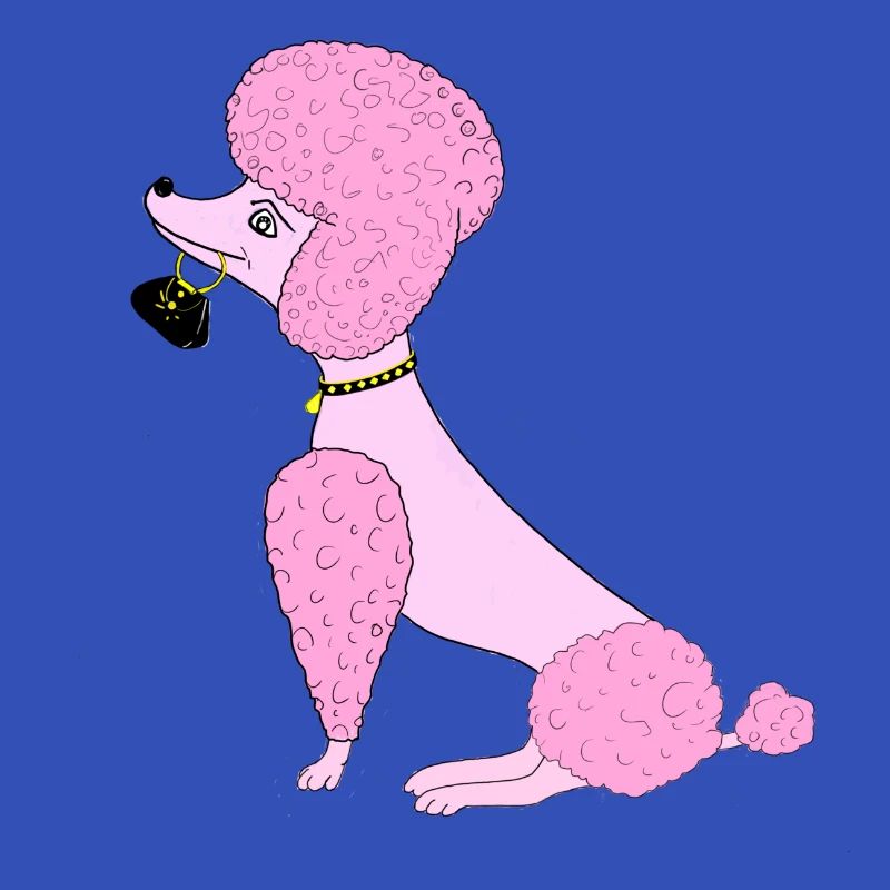 Pudel