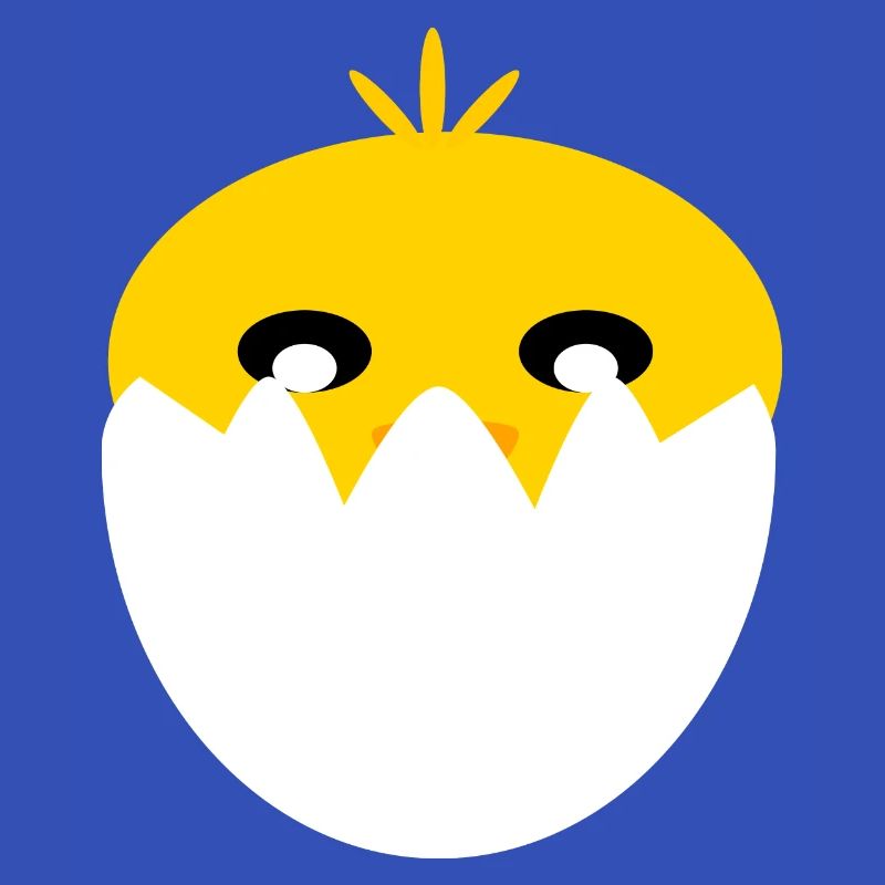 Chicks from the egg