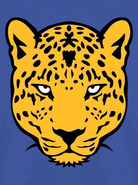 Leoparden wildes Tier 30
