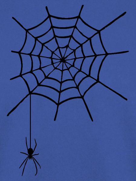 Spinnennetz mit Spinne