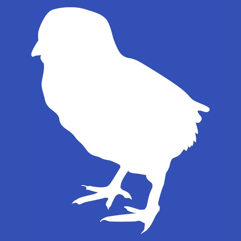 poussin