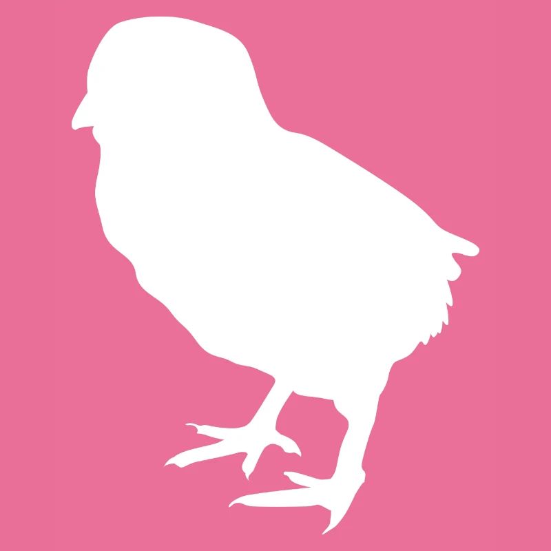 poussin