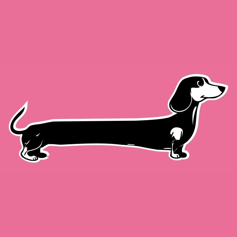 Langer Dachshund