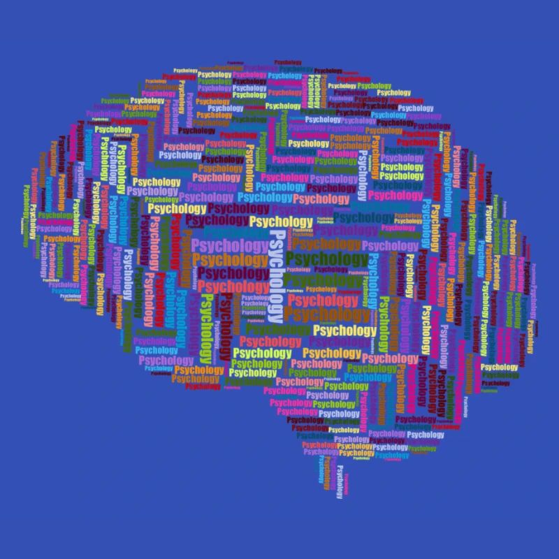 Brain Psychology