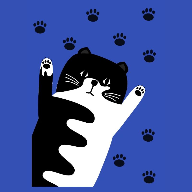 Schwarz-Weiße Katze