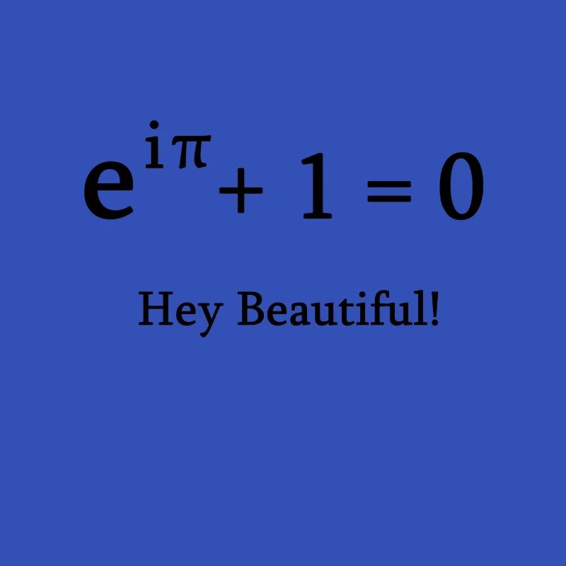 Euler identité math mathématicien nerd science pi