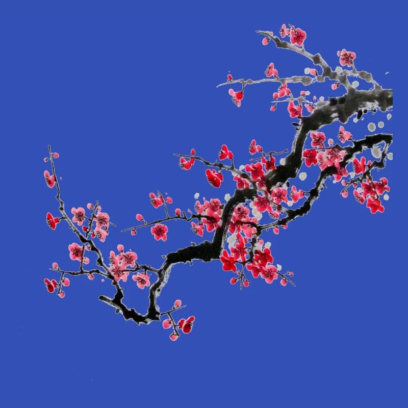 Japan Kirschbaum