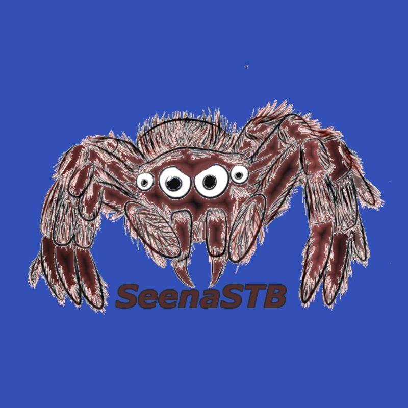 Spinne