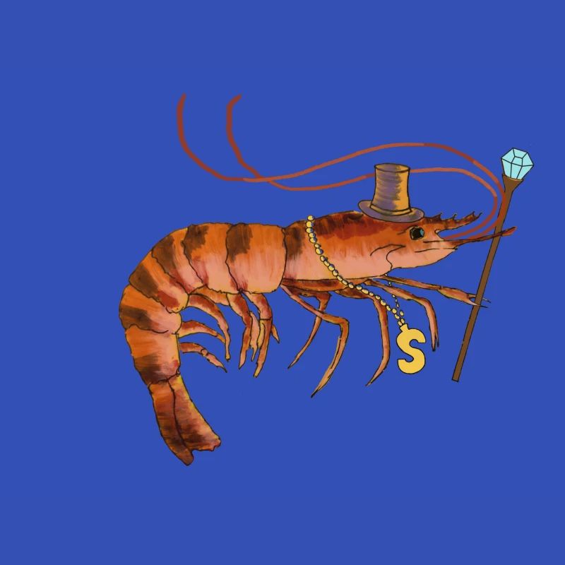 Shrimp 🦐 Shrimps