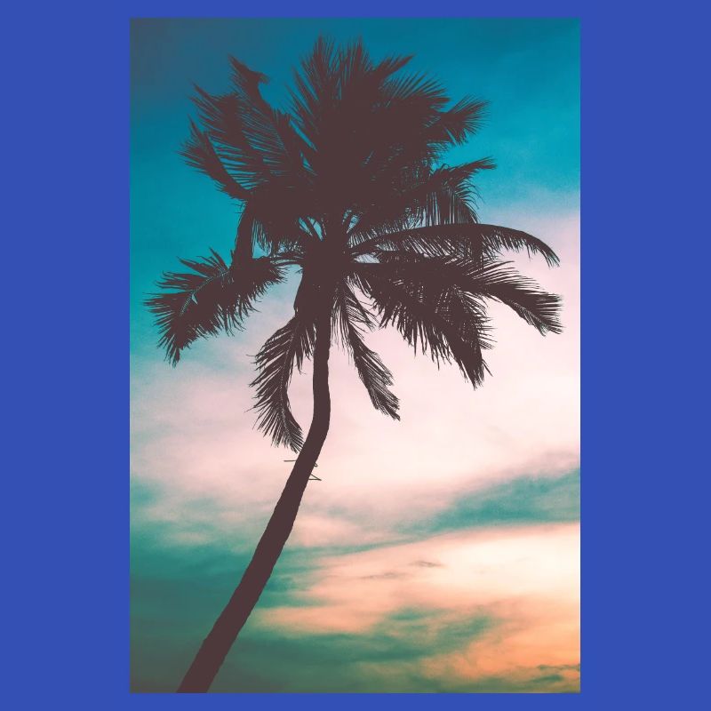 Palme