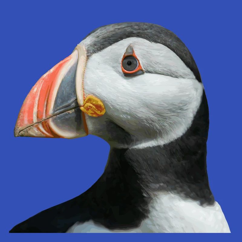 PUFFIN