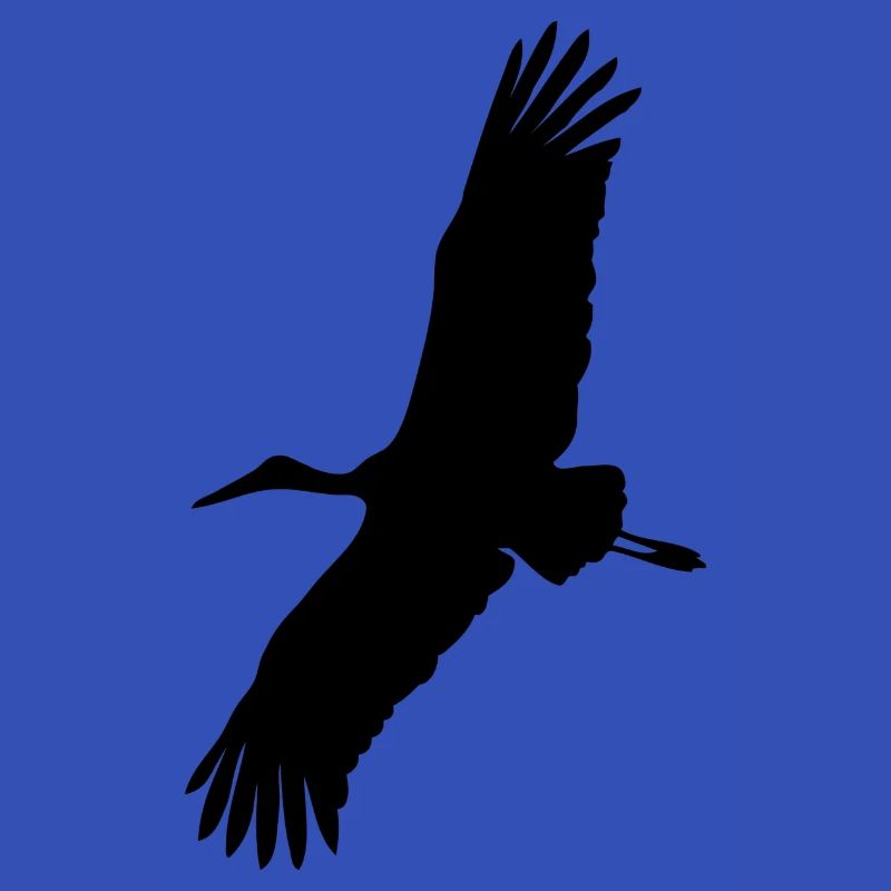 Storch